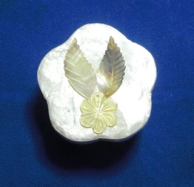 画像1: 貝の宝石箱